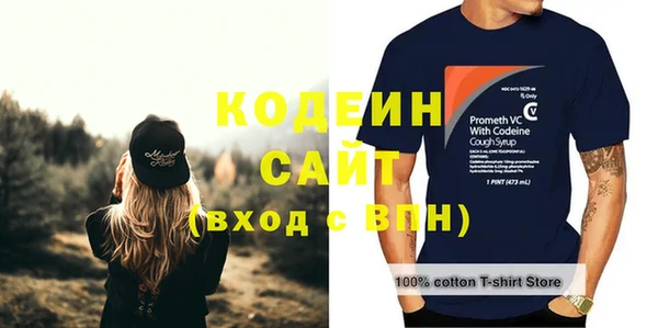 шишки Пестово