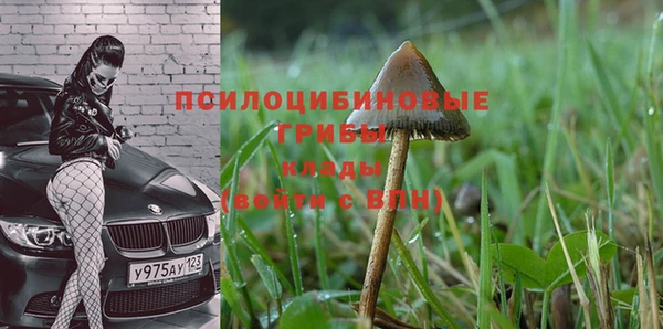мяу мяу мука Алзамай